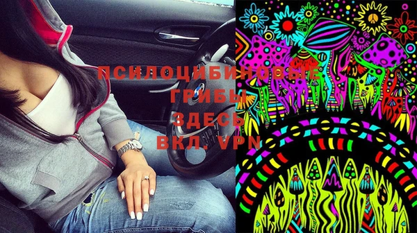 прущие грибы Няндома