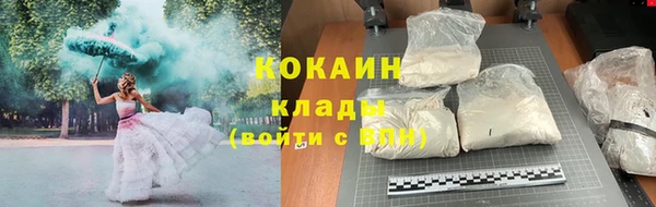 прущие грибы Няндома