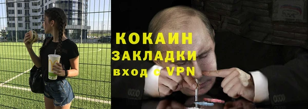 прущие грибы Няндома
