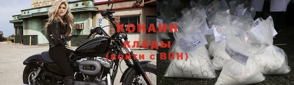 прущие грибы Няндома
