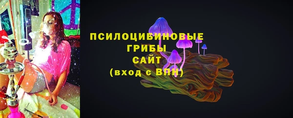 хмурый Нязепетровск