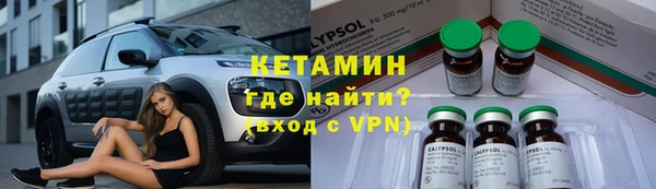 прущие грибы Няндома
