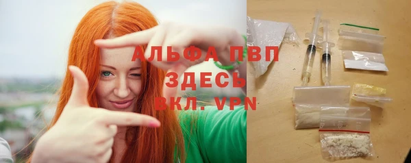 прущие грибы Няндома