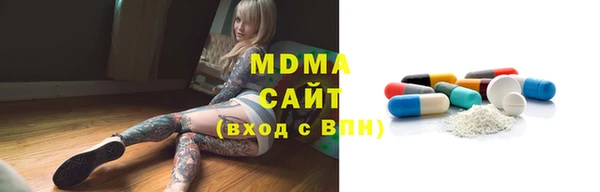 прущие грибы Няндома