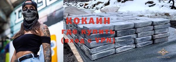 прущие грибы Няндома