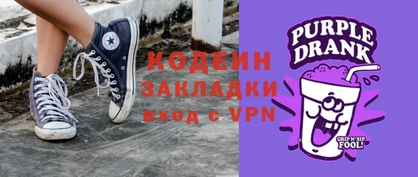 прущие грибы Няндома